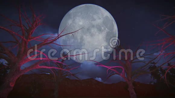 女巫坐在扫帚上的一天在满月的时候视频的预览图