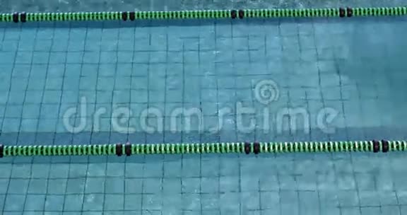 适合在游泳池里做蝶泳动作的女人视频的预览图