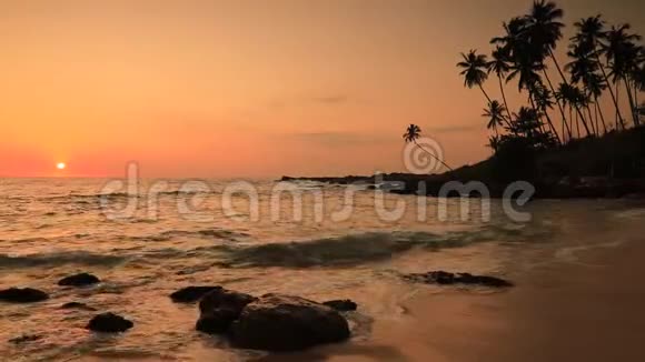 日落时有棕榈树的沙滩视频的预览图