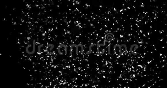 黑背景下的大雪视频的预览图