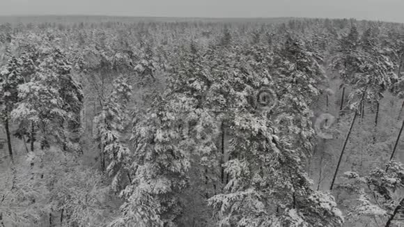 冬林空中勘测视频的预览图
