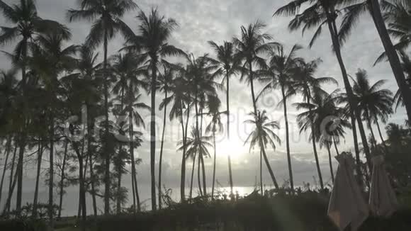 印度尼西亚巴厘岛度假胜地棕榈树海洋和热带游泳池的全景视频的预览图
