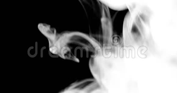 白色烟雾在黑色背景下漂浮在空间中视频的预览图