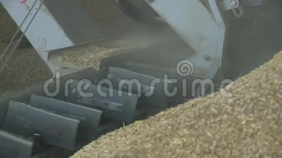 谷物的收获储备小麦粮食视频的预览图