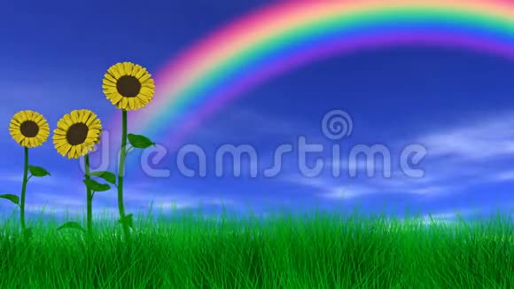彩虹下的向日葵视频的预览图