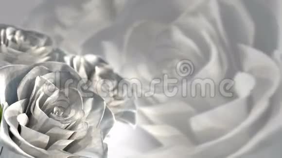 旋转白玫瑰婚礼主题3D渲染无缝回路视频的预览图