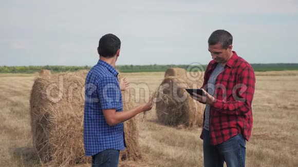 团队农业智慧农业理念在数字平板电脑上研究干草堆的两名男性农民视频的预览图