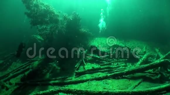 在Fernsteinsee山下潜水泰罗奥地利水下视频的预览图