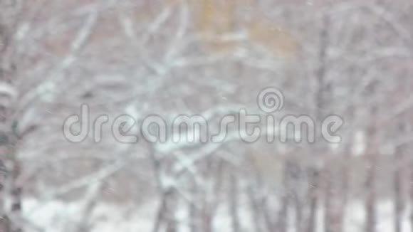 雪落在模糊的冬季景观上视频的预览图