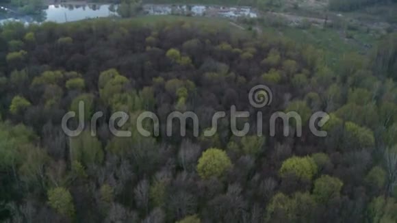 森林景观航拍视频的预览图