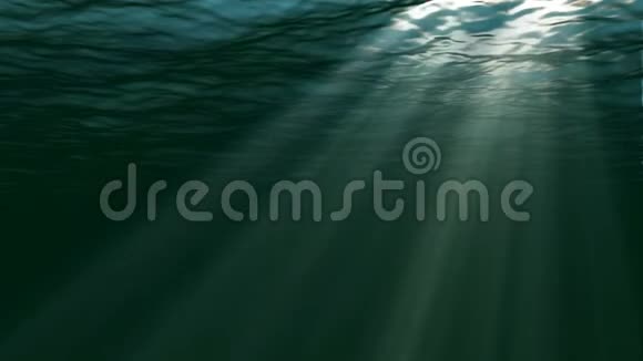 水下场景大型流行海洋背景视频的预览图
