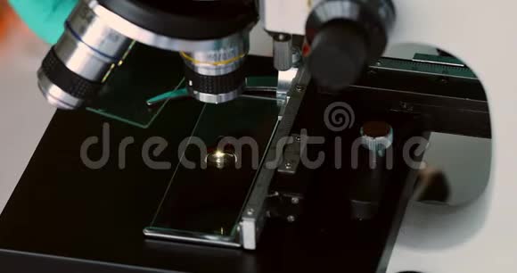 科学家调整显微镜进行实验视频的预览图