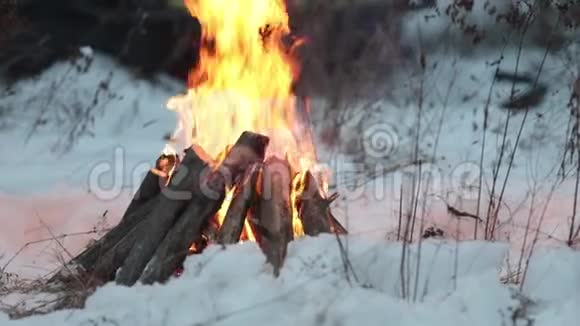 晚上森林里雪地里的篝火视频的预览图