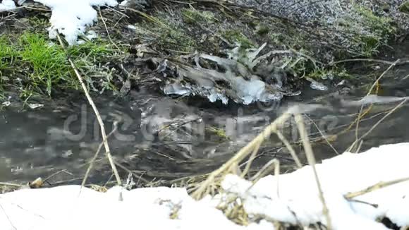 有雪的小溪视频的预览图