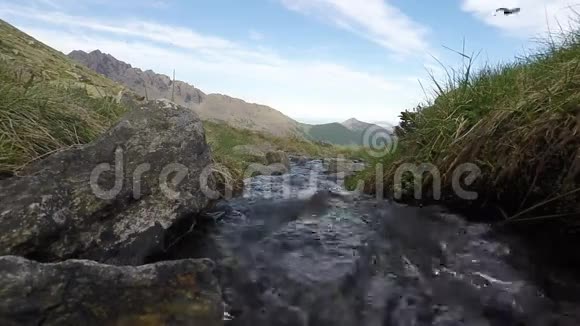 小溪流在田园诗般的没有污染的环境中流动在意大利阿尔卑斯山视频的预览图