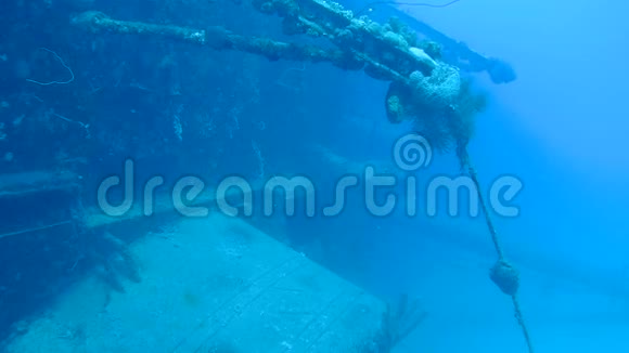 海玛波内尔岛水下1080P视频视频的预览图