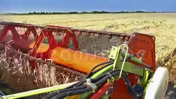 粮食收割机在田间工作视频的预览图