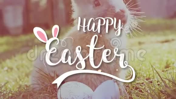 复活节白兔和复活节彩蛋坐在草地上视频的预览图