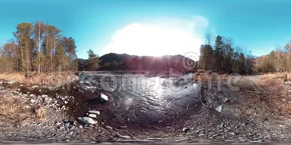 360VR虚拟现实的一片野山松林和河流流淌国家公园草地和阳光视频的预览图
