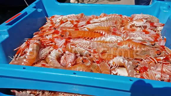 带海虾的蓝色集装箱视频的预览图