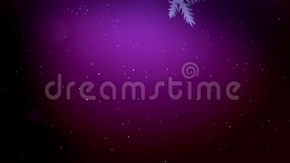 美丽的3d雪花在空气中缓慢的运动在夜间在紫色的背景作为圣诞动画使用新年视频的预览图