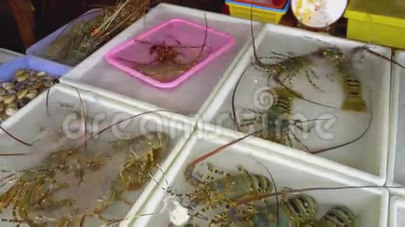 泰国新鲜市场海鲜视频的预览图
