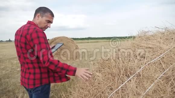 智慧农业理念一个农民在数字平板电脑上研究一个大海捞针慢动作视频男性的视频的预览图