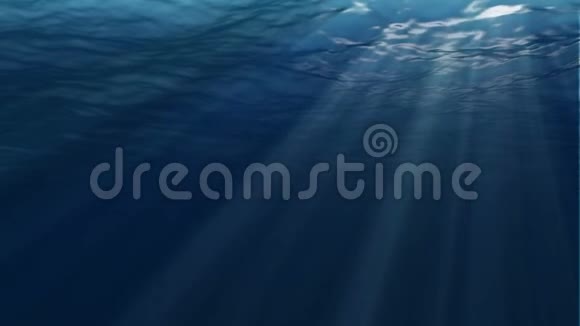 水下场景大型流行海洋背景视频的预览图