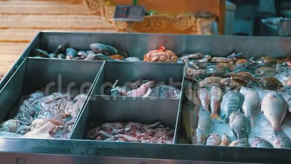 街上商店柜台出售的新鲜海鱼视频的预览图