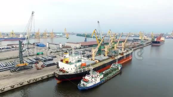 圣彼得堡大港鸟瞰视频的预览图