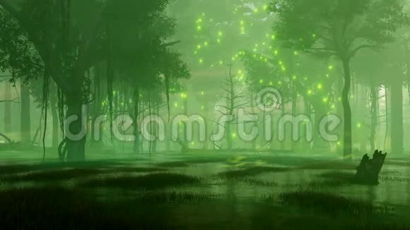 4K沼泽夜森林神秘萤火虫灯视频的预览图