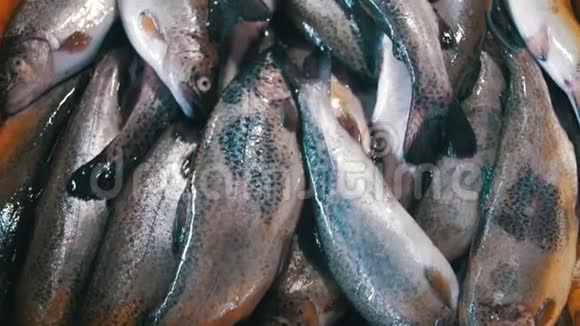 新鲜海鱼店视频的预览图