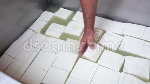 福塔奶酪生产立方体视频的预览图