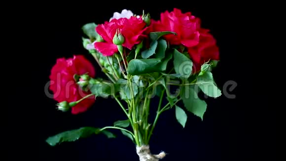 一束美丽的红玫瑰镶嵌在黑色的玫瑰上视频的预览图