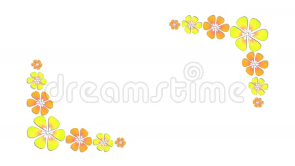 五彩缤纷的花卉生长动画视频的预览图