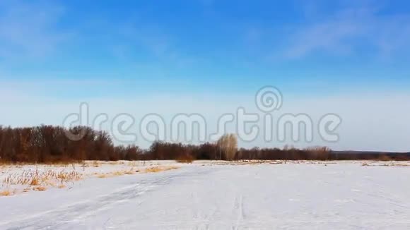 冬季景观视频的预览图