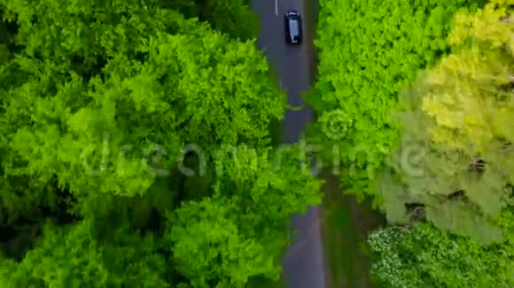 车在路上骑行视频的预览图