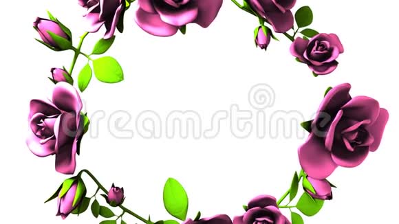 白色文本空间上的粉色玫瑰框架视频的预览图
