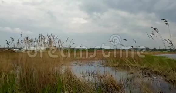 伏尔加河美景视频的预览图