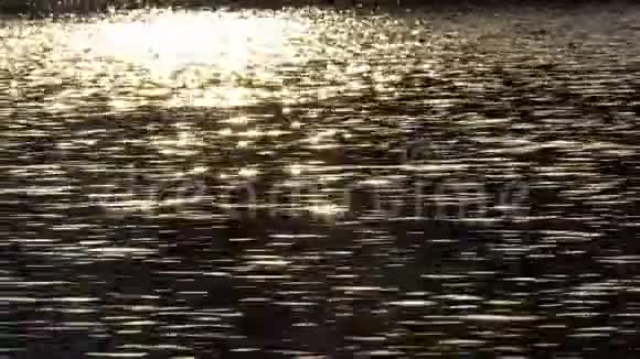 太阳在水中的反射视频的预览图