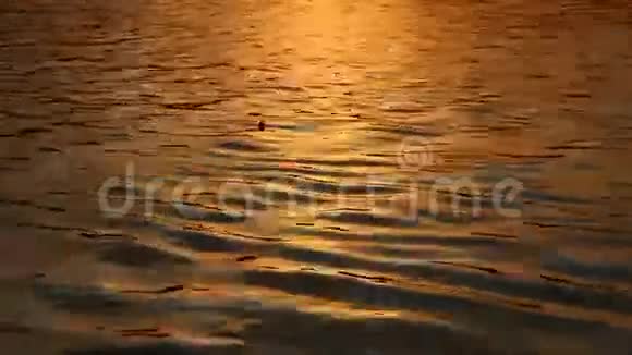 落日在水中的倒影视频的预览图