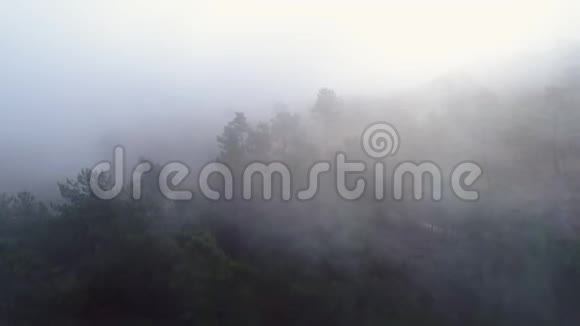 雾中山的鸟瞰斜坡视频的预览图