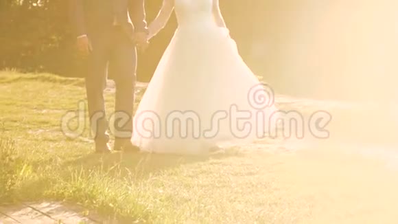 新娘和新郎在阳光明媚的公园里一起散步慢慢地视频的预览图