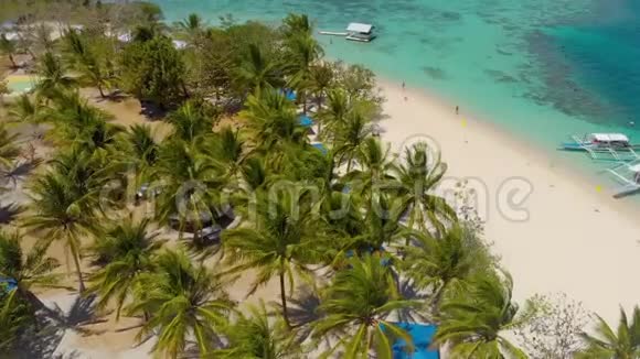 菲律宾热带岛白色沙滩和棕榈树视频的预览图