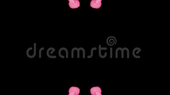 背景像罗夏墨迹荧光的粉红色墨水或烟雾在黑色上缓慢地分离粉色水粉视频的预览图