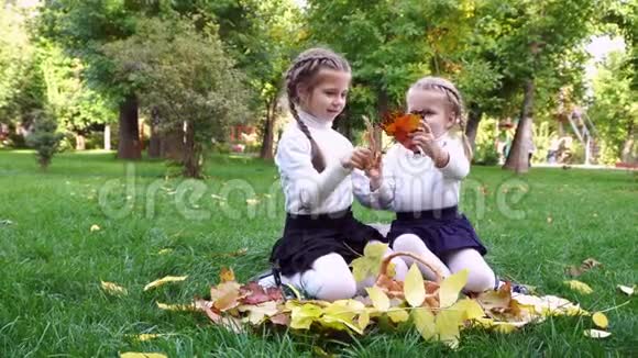 秋天公园里的两个姐妹视频的预览图