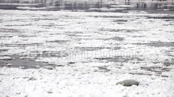 寒冷的冬天冰冻多瑙河视频的预览图