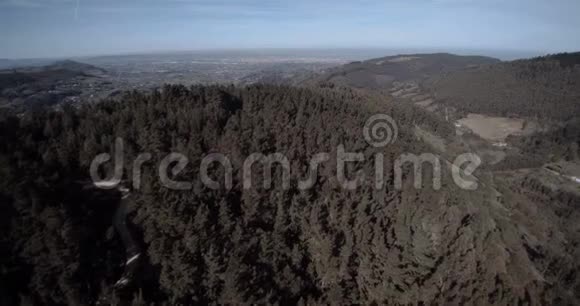 飞越西班牙的一片森林视频的预览图