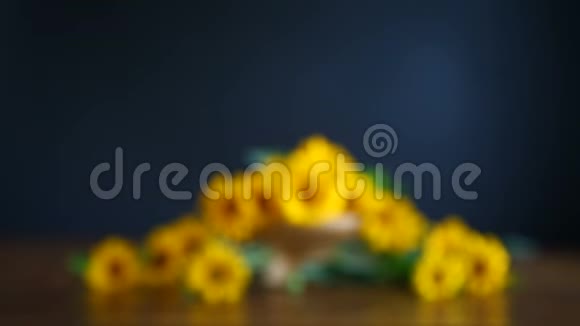 一团黄色的大雏菊视频的预览图