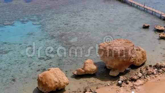 落基海滩与伞附近的悬崖在红海的珊瑚礁埃及视频的预览图